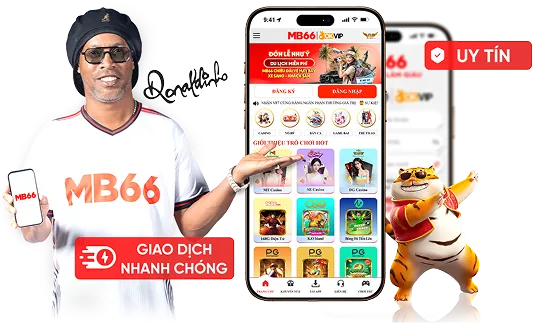Trực tiếp các trận đấu chất lượng cao