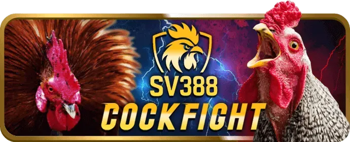 Chương trình hoàn trả đá gà hàng tuần tại 8win code